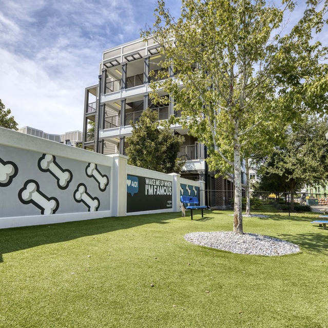 NoHo Flats - Dog Park