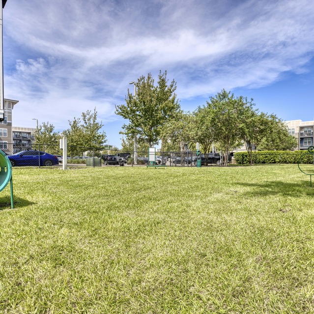 NoHo Flats - Dog Park