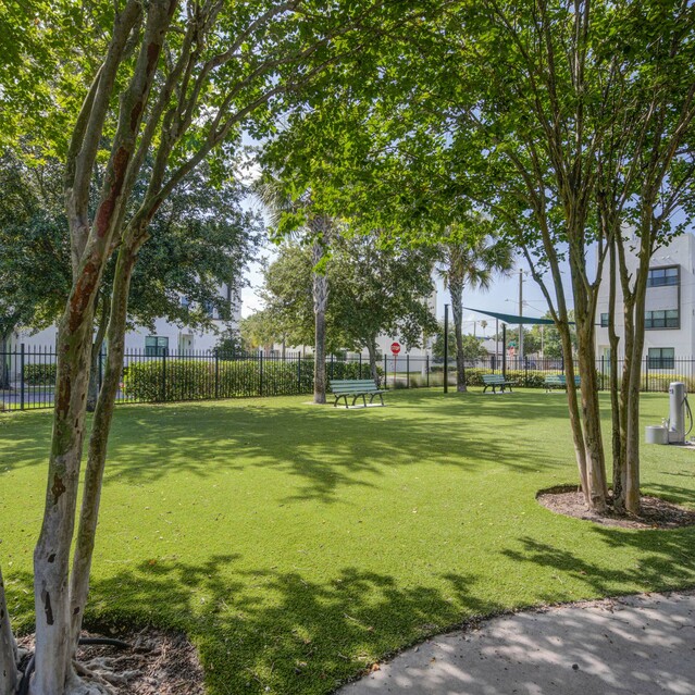 NoHo Flats - Dog Park