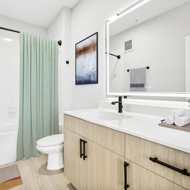 NoHo Flats - Renovated Apartments in Tampa - Bathroom